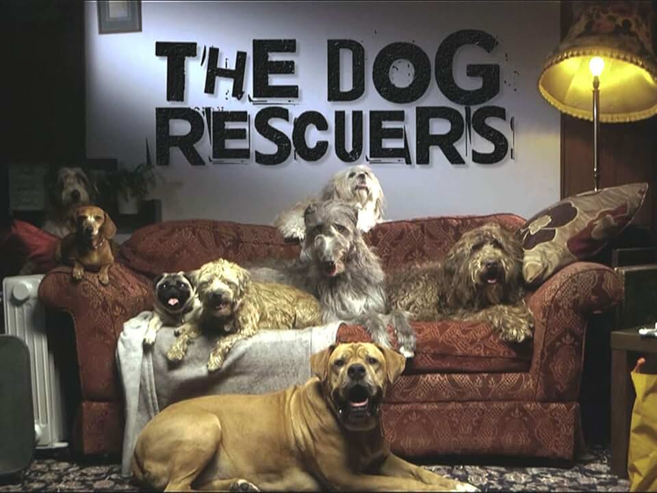 books about rescue dogs